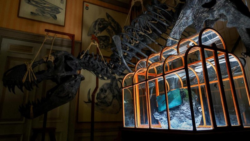 Sebuah tas tangan yang terbuat dari kolagen yang berasal dari fosil T. rex dipamerkan di Museum ArtZoo di Amsterdam, Belanda. (REUTERS/Piroschka van de Wouw)