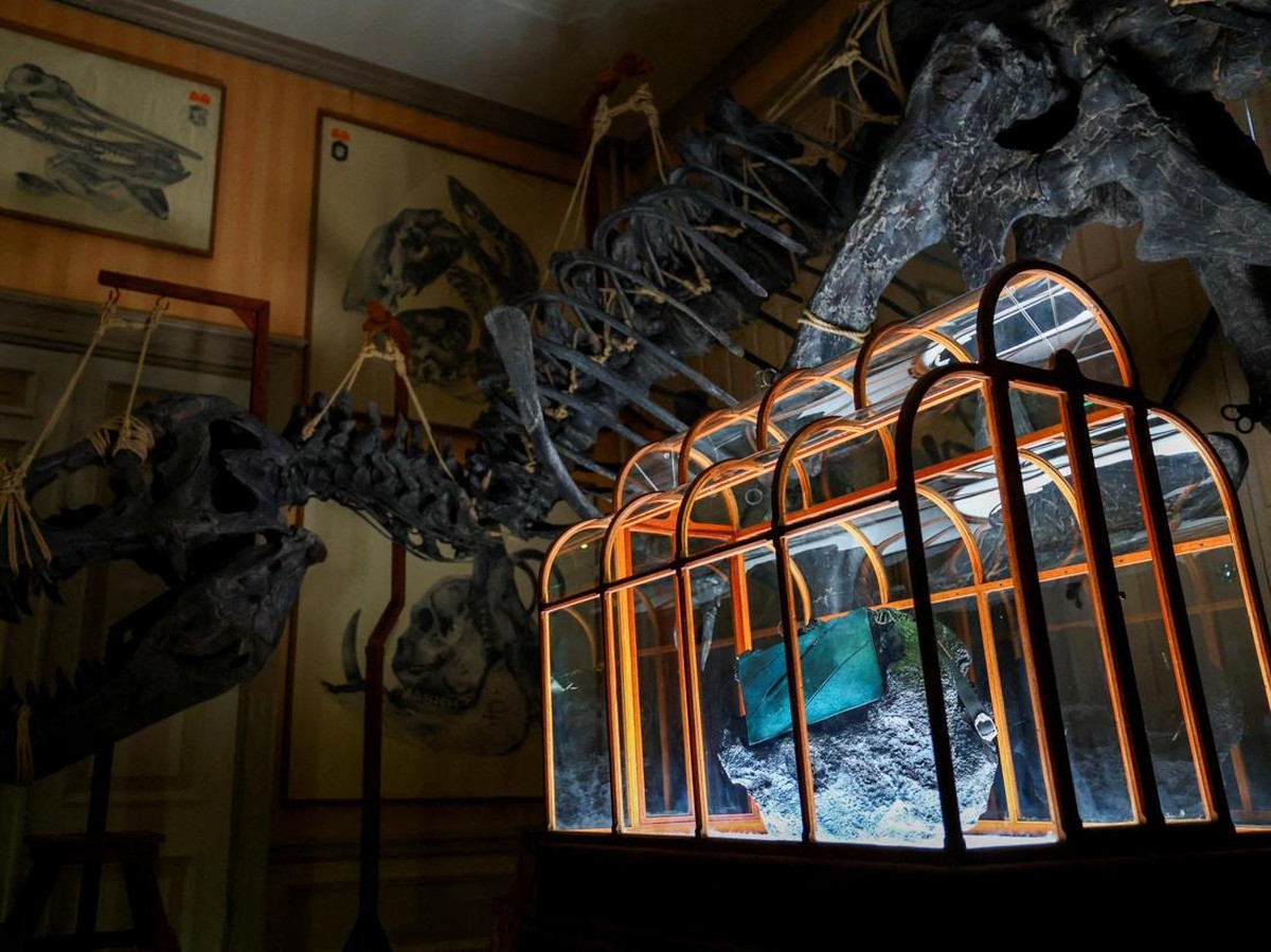 Tas Kolagen dari Fosil T. rex Picu Perdebatan Ilmiah dan Seni