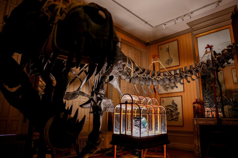 Sebuah tas tangan yang terbuat dari kolagen yang berasal dari fosil T. rex dipamerkan di Museum ArtZoo di Amsterdam, Belanda. (REUTERS/Piroschka van de Wouw)