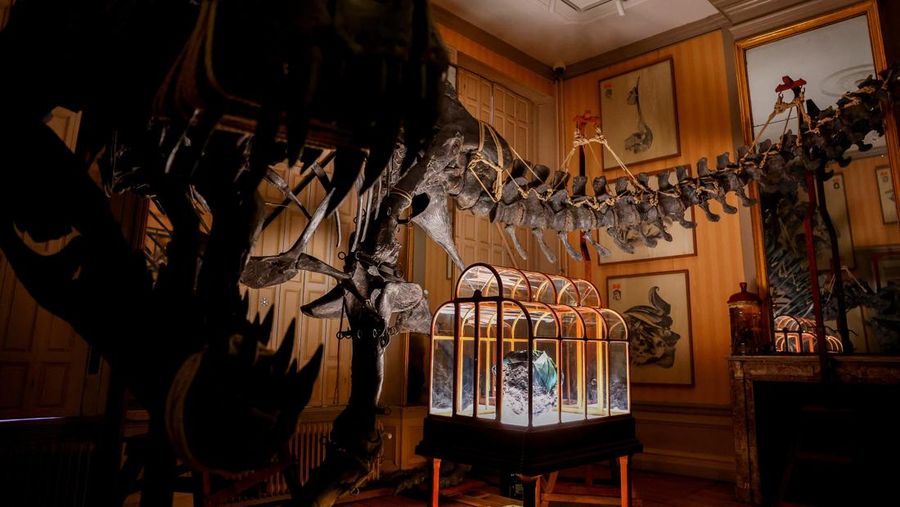 Sebuah tas tangan yang terbuat dari kolagen yang berasal dari fosil T. rex dipamerkan di Museum ArtZoo di Amsterdam, Belanda. (REUTERS/Piroschka van de Wouw)