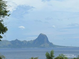Melihat Nuca Molas, Jurrasic Park dari Indonesia