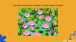 Bisa Temukan Objek Tersembunyi di Gambar Ini? Kalau Matanya Jeli Sih Pasti Easy