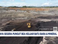 Video: Purbaya Segera Pungut Bea Keluar Batu Bara & Mineral