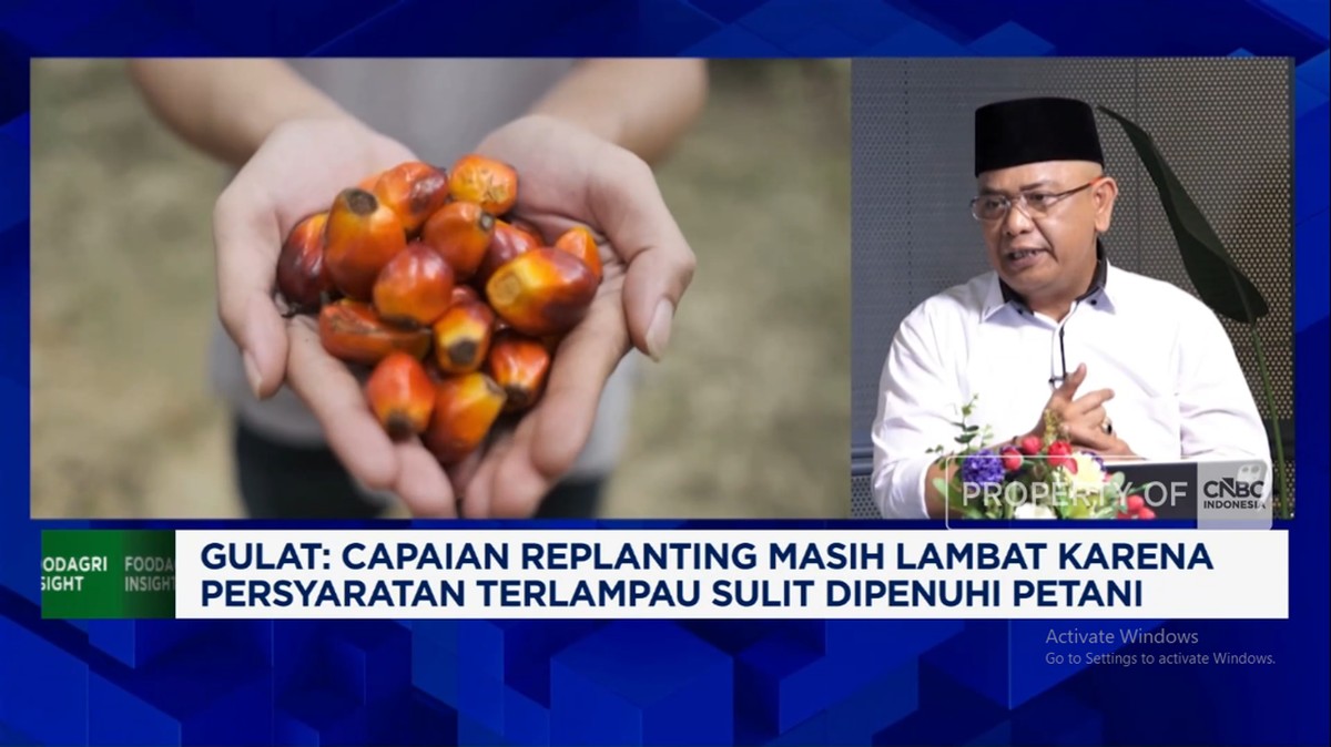 Video: B50 Dimulai 1 Juli, Petani Sawit Siap Penuhi 19 Juta Ton CPO