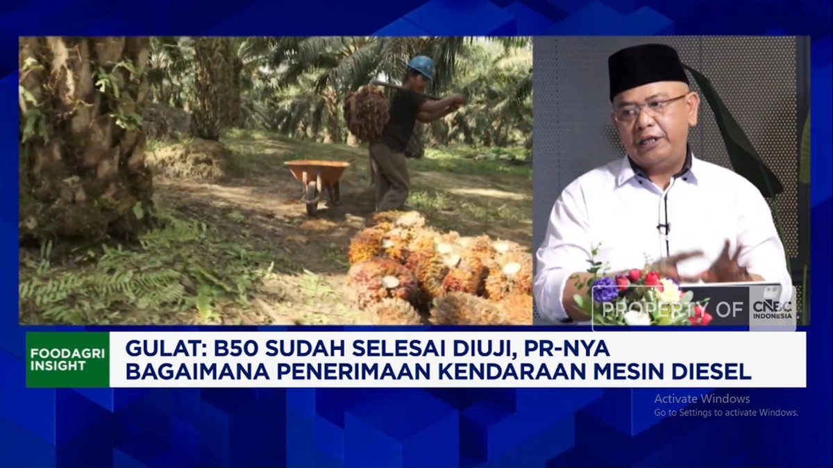 Harga Pupuk Naik - Peremajaan Sawit Terkendala Ancam Produksi CPO RI