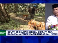 Harga Pupuk Naik - Peremajaan Sawit Terkendala Ancam Produksi CPO RI