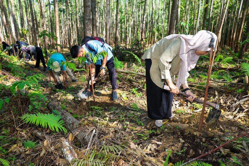 Libur Paskah di IKN ramai 59 ribu pengunjung, diwarnai penanaman pohon dan wisata ekologis untuk dukung konsep kota hutan. (Dok. Humas Otorita IKN)