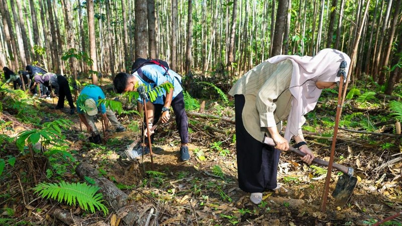 Libur Paskah di IKN ramai 59 ribu pengunjung, diwarnai penanaman pohon dan wisata ekologis untuk dukung konsep kota hutan. (Dok. Humas Otorita IKN)