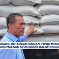 Video: Mentan Targetkan Pengurangan Ketergantungan Impor Beras Menir