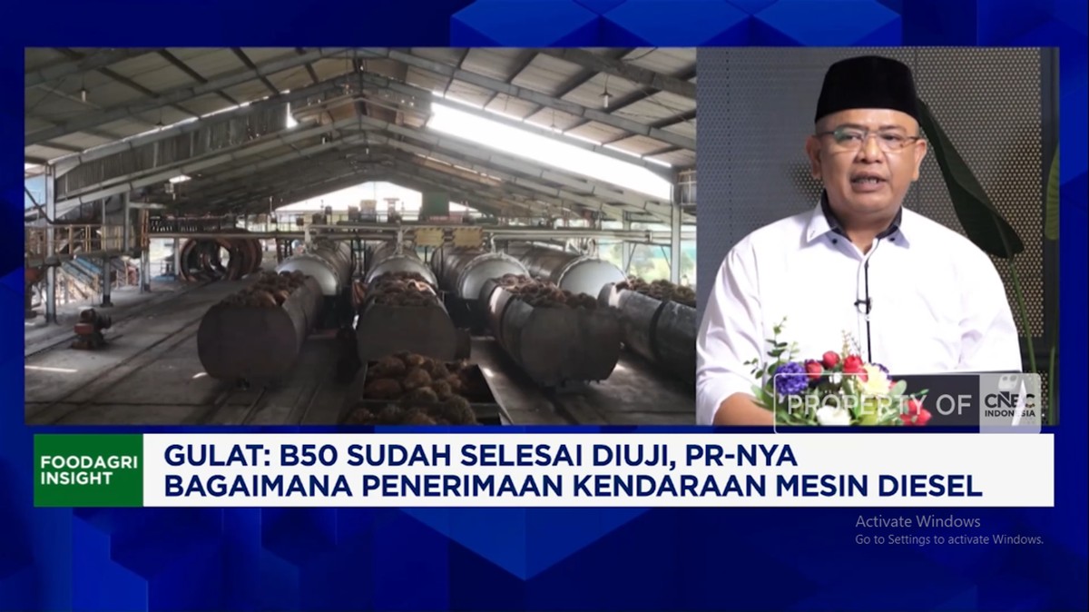 Video: Petani Sawit Sebut 