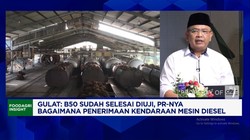 Video: Petani Sawit Sebut "Replanting" Gagal, Ganggu Produksi CPO RI
