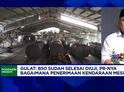 Video: Petani Sawit Sebut "Replanting" Gagal, Ganggu Produksi CPO RI