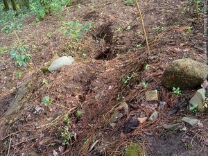 Retakan Sepanjang 30 Meter Ditemukan di Lereng Gunung Wilis Nganjuk