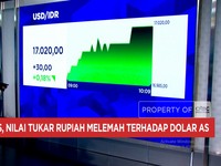Video: Harga Minyak Tembus USD 110 - Rupiah Anjlok ke Rp17.000/USD