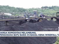Video: Pengusaha Batu Bara CS Bakal Kena Windfall Tax