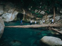 Kisah Ritno Kurniawan, Dari Penebang Kayu ke Pemandu Ekowisata