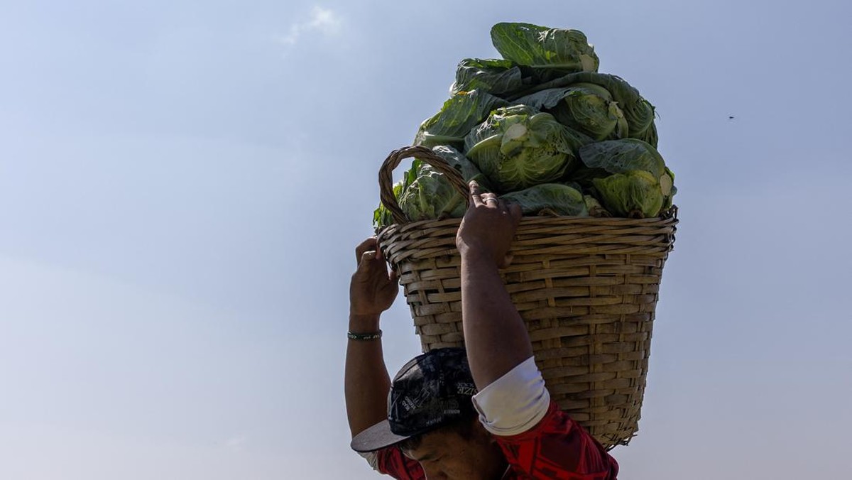 Jadi Korban Perang AS-Iran, Petani Tetangga RI Menjerit Tak Bisa Cuan