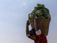Jadi Korban Perang AS-Iran, Petani Tetangga RI Menjerit Tak Bisa Cuan