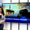 Video:  Incar Peluang di Tengah Krisis Perang
