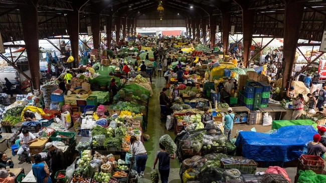 Sayur dan Buah Ini Mengandung Mikroplastik Tertinggi, Warga RI Doyan