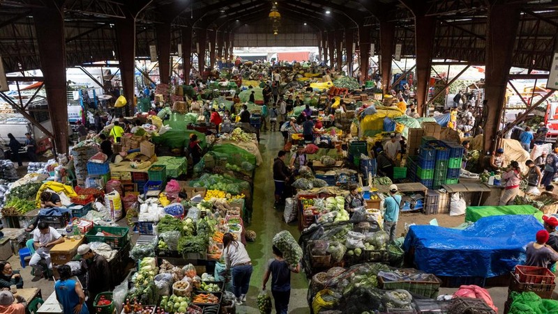 Para petani memanen kentang di sebuah pertanian di Atok, Benguet, Filipina, 31 Maret 2026. (REUTERS/Eloisa Lopez)