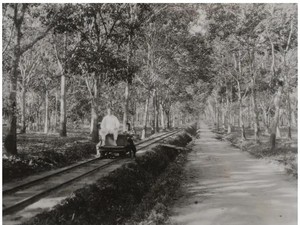 Sejarah Sengketa Tanah Perkebunan di Sumatera Timur Pascakolonial
