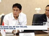 Video: RI Punya Dana SAL Rp 420 Triliun, Parkir di Bank dan BI