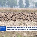 Waspada karhutla, KLH minta daerah segera tetapkan status darurat