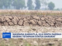 Waspada karhutla, KLH minta daerah segera tetapkan status darurat 