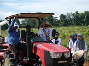 Bupati Husniah Genjot Program Cetak Sawah, Target Produksi 3.000 Ton Gabah