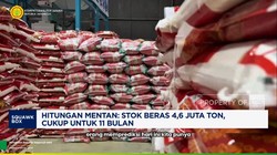 Video: Hitungan Mentan: Stok Beras 4,6 Juta Ton, Cukup untuk 11 Bulan