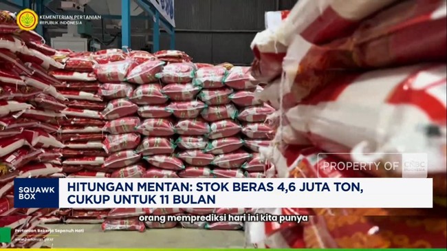Video: Hitungan Mentan: Stok Beras 4,6 Juta Ton, Cukup untuk 11 Bulan