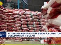 Video: Hitungan Mentan: Stok Beras 4,6 Juta Ton, Cukup untuk 11 Bulan