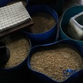Pekerja membuat tahu berbahan kedelai impor di Kawasan Duren Tiga, Jakarta, Rabu (8/4/2026). (CNBC Indonesia/Muhammad Sabki)