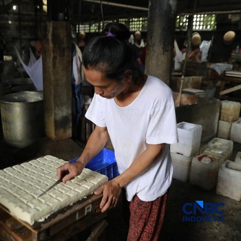 Harga Kedelai Naik Terus Sejak Perang, Perajin Tahu-Tempe Putar Otak