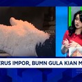 Video: BUMN Gula Rugi Rp 680 Miliar Akibat Banjir Gula Impor