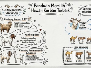 5 Jenis Kambing Kurban Terbaik di Indonesia, Ini Ciri yang Dipilih Rasulullah