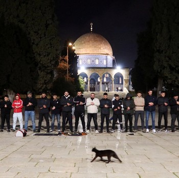 AS-Iran Gencatan Senjata, Kompleks Al-Aqsa Kembali Dibuka Israel