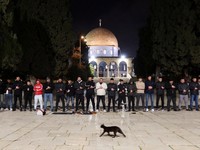 AS-Iran Gencatan Senjata, Kompleks Al-Aqsa Kembali Dibuka Israel