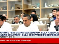 Video: Swasembada Gula, Sugar Co & Pabrik Gula Bersiap Merger
