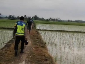 Nenek di Grobogan Tewas Tersambar Petir Usai Tanam Padi