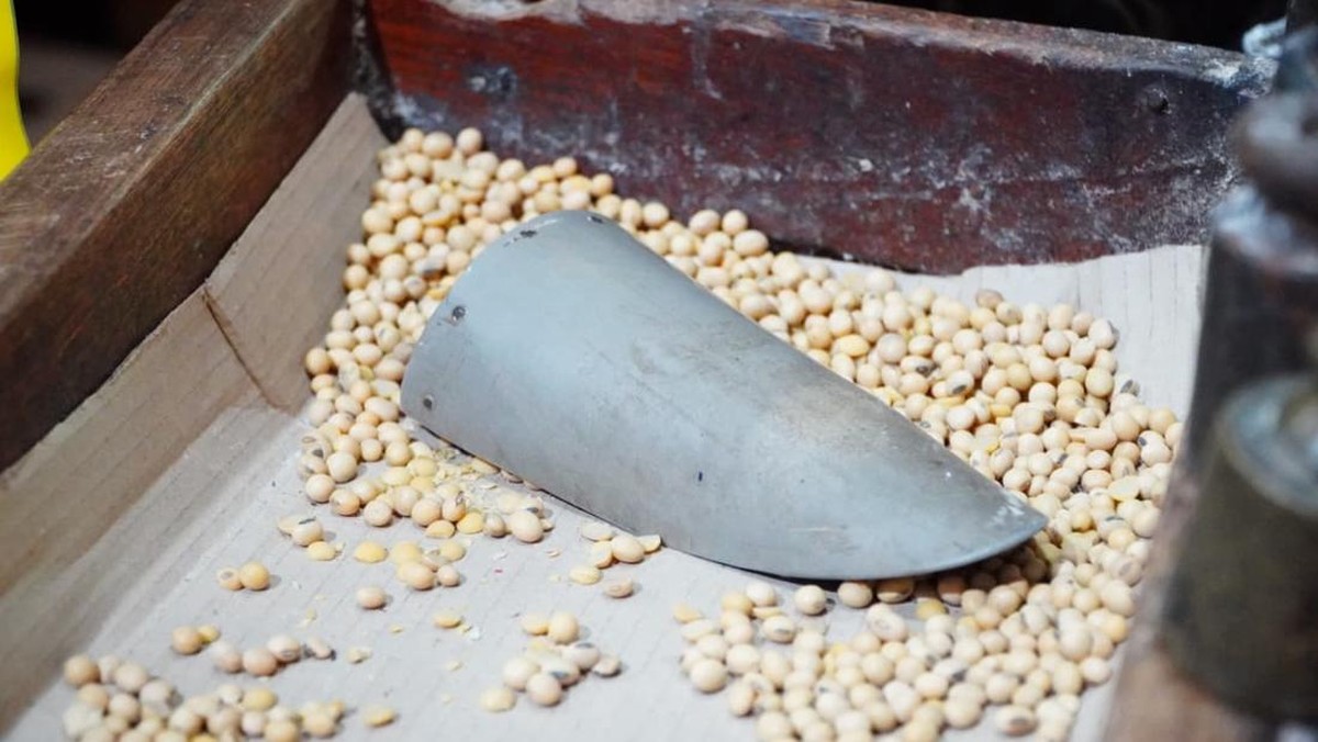 Tok! Kementan-Bapanas Turun Tangan, Harga Kedelai Dikawal Rp12.000/Kg
