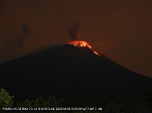 Gunung Ile Lewotolok Meletus 14 Kali Semalam, Lava Mengalir 200 Meter