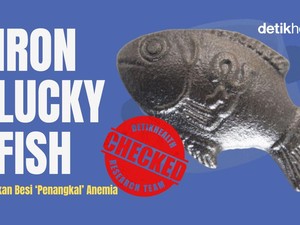 Infografis: Ikan Besi Penangkal Anemia, Benarkah Efektif?