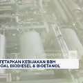Video: Pemerintah Resmi Tetapkan Kebijakan BBM Campur BBN