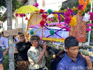 Balita di Buleleng Meninggal Akibat Demam Berdarah Dengue