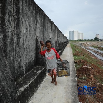 Wajah Baru Tanggul Pantai Muara Baru, Beton "Raksasa" Penahan Air Laut