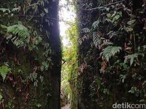 Mengenal Wisata Batu Belah di Kawasan Perkemahan Sibolangit