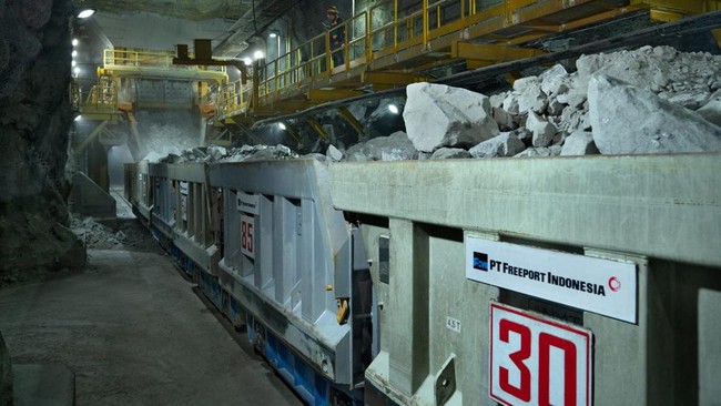 Pendapatan Freeport di 2025 US$8,6 M, Separuhnya Disetor ke Negara