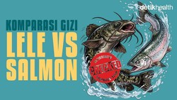 Infografis: Kandungan Gizi Lele Vs Salmon, Apa Saja yang Beda?